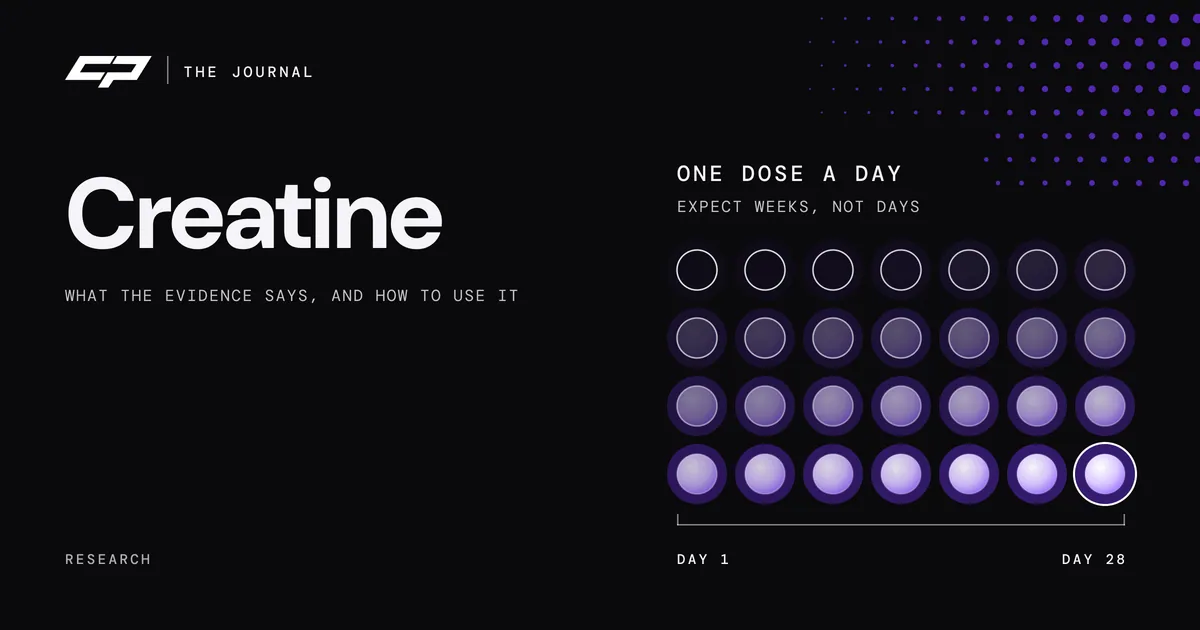 Grid of 28 orbs filling from outline to solid, labelled one dose a day and day 1 to day 28, beside the headline Creatine